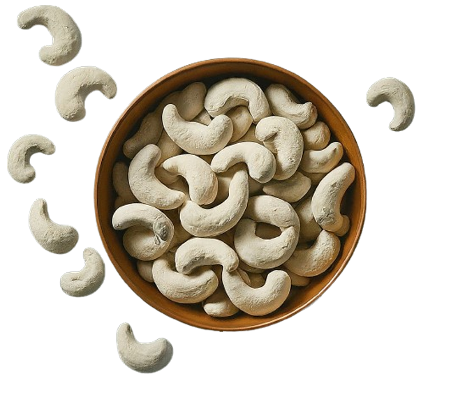 Souparnika RCN raw cashew