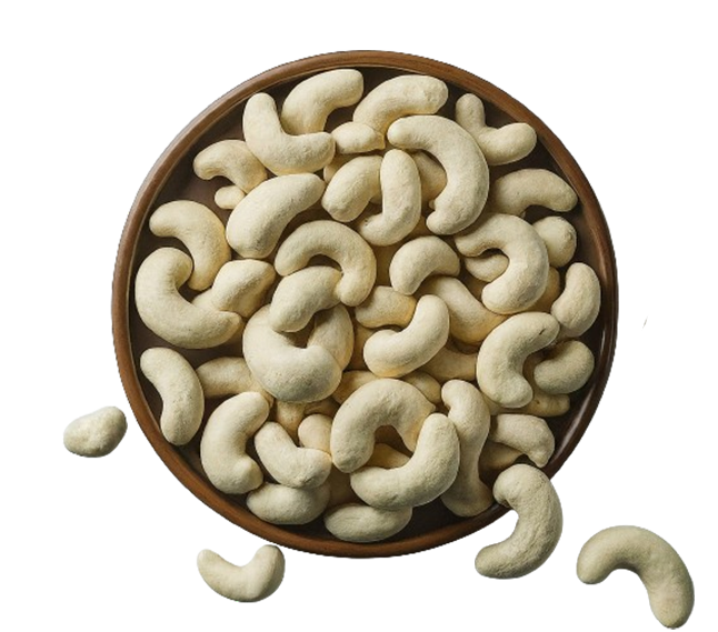 Souparnika white whole cashew kernels, graded for export