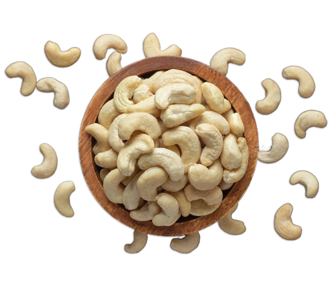 Souparnika's workforce hand-grading cashew kernels in Kollam